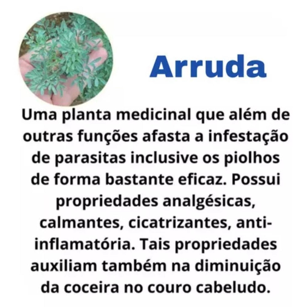 Kit Shampoo + Condicionador Arruda & Citronela com Lavanda 190ml – Abelha Rainha | Proteção, Frescor e Cabelos Macios