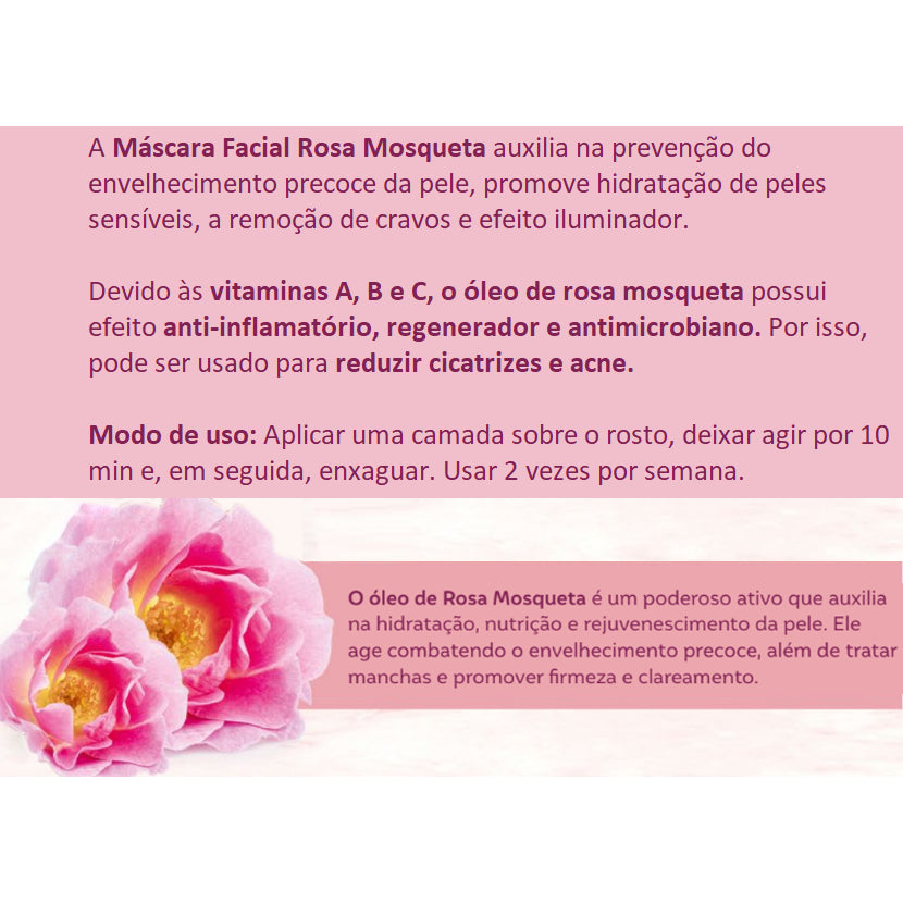 Máscara Facial Rosa Mosqueta 3 em 1 55g Abelha Rainha